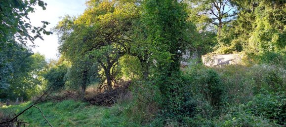 Terrain à Nurnberger Land, Germany No. 153034 9