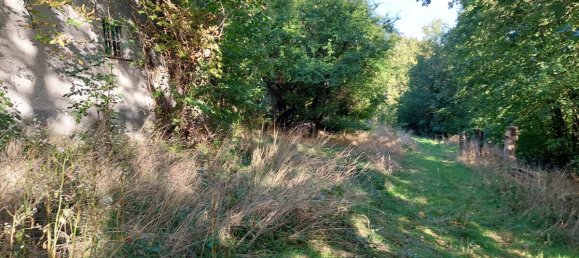 Terrain à Nurnberger Land, Germany No. 153034 8