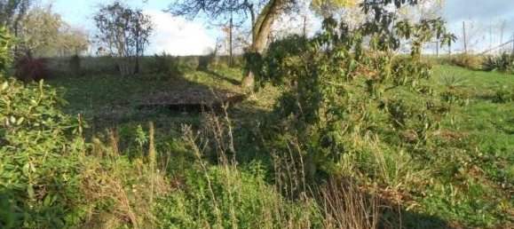 5غرفة منزل في Sachsische Schweiz-Osterzgebirge, Germany رقم 137872 20