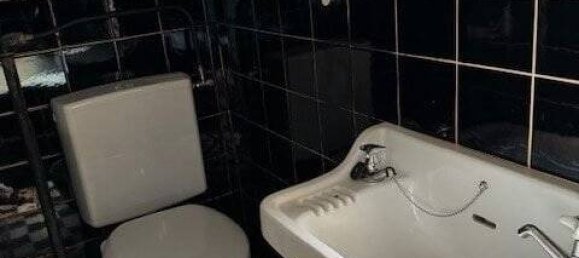 Дом с 7 комнатами в Мангейм, Германия № 103046 11