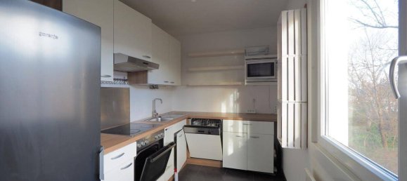 1 bedroom Apartment in Maria Enzersdorf, Austria No. 193628 6