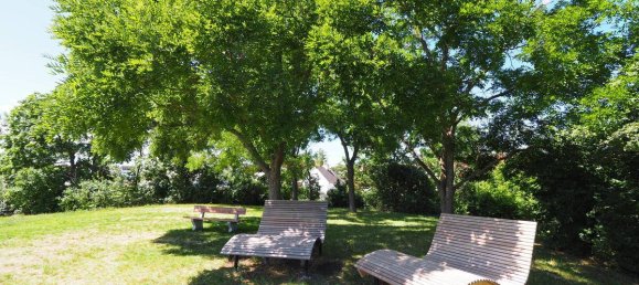 1 bedroom Apartment in Maria Enzersdorf, Austria No. 193628 12