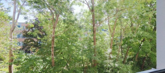 1 bedroom Apartment in Maria Enzersdorf, Austria No. 193628 10