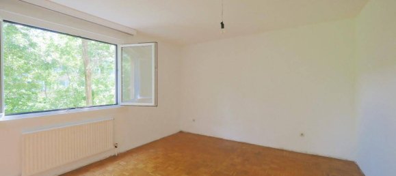 1 bedroom Apartment in Maria Enzersdorf, Austria No. 193628 4
