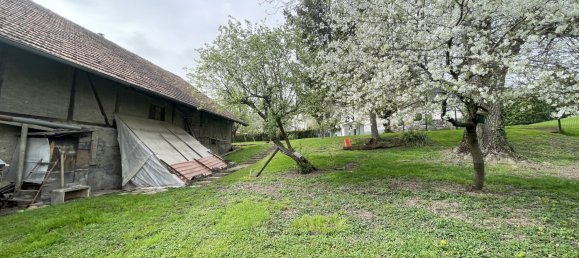 4 chambres Châteaux à Aspach, France No. 67548 15