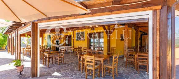 16 Schlafzimmer Villa in Cerreto Guidi, Italy, Nr. 170043 13