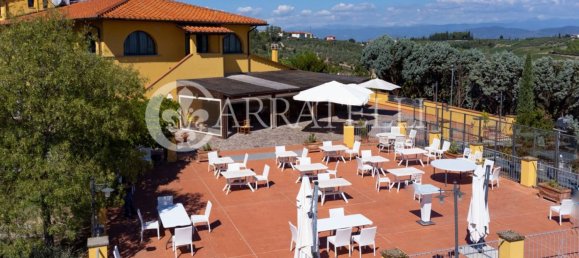 16 Schlafzimmer Villa in Cerreto Guidi, Italy, Nr. 170043 4