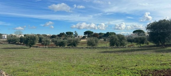 3 chambres Villa à Cisternino, Italy No. 300270 21