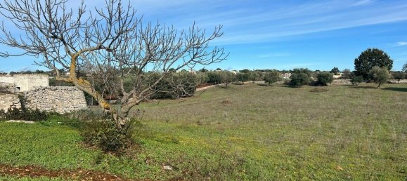 3 chambres Villa à Cisternino, Italy No. 300270 23