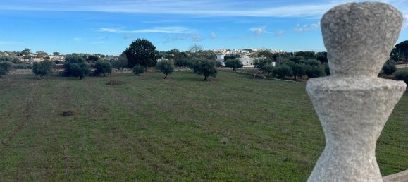 3 chambres Villa à Cisternino, Italy No. 300270 40