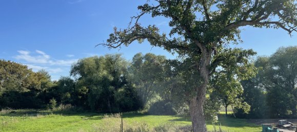  Land in Saint-Jean-Rohrbach, France No. 265836 4