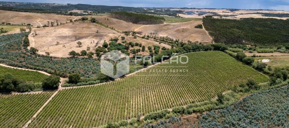 23488m² Land in Azambuja, Portugal No. 39531 8