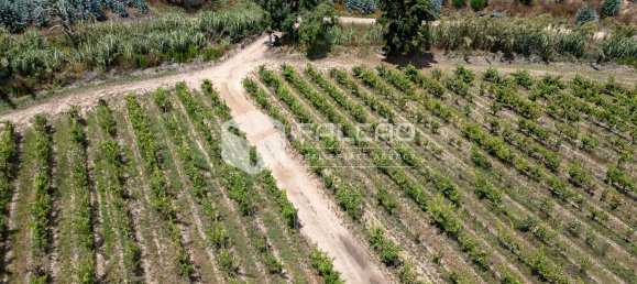 23488m² Land in Azambuja, Portugal No. 39531 21