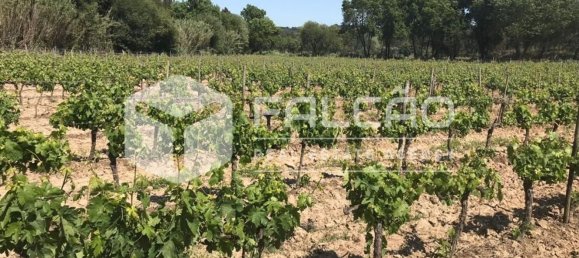 23488m² Land in Azambuja, Portugal No. 39531 38