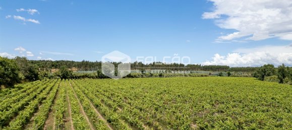 23488m² Land in Azambuja, Portugal No. 39531 12