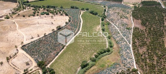 23488m² Land in Azambuja, Portugal No. 39531 3