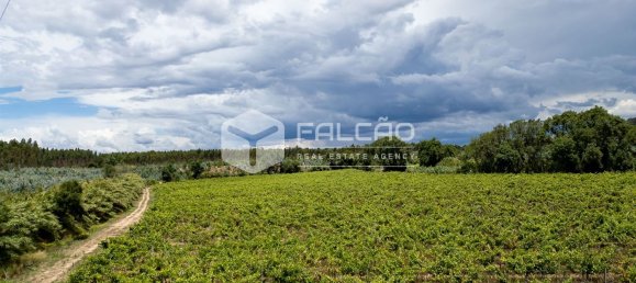 23488m² Land in Azambuja, Portugal No. 39531 14