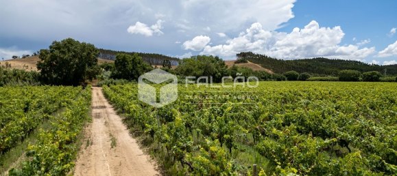 23488m² Land in Azambuja, Portugal No. 39531 26