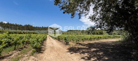 23488m² Land in Azambuja, Portugal No. 39531 36