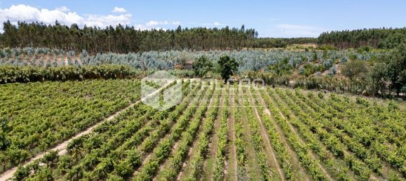 23488m² Land in Azambuja, Portugal No. 39531 17