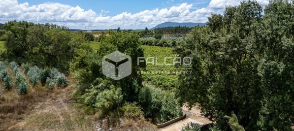 23488m² Land in Azambuja, Portugal No. 39531 18