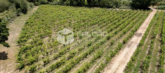 23488m² Land in Azambuja, Portugal No. 39531 31