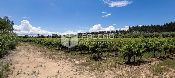 23488m² Land in Azambuja, Portugal No. 39531 33