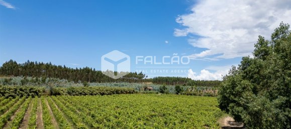23488m² Land in Azambuja, Portugal No. 39531 15