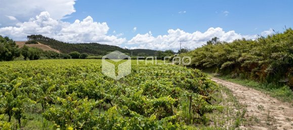 23488m² Land in Azambuja, Portugal No. 39531 27