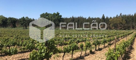 23488m² Land in Azambuja, Portugal No. 39531 39