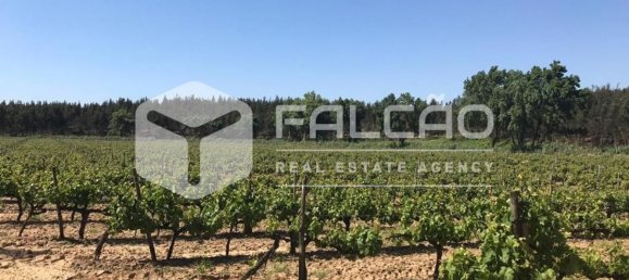 23488m² Land in Azambuja, Portugal No. 39531 35