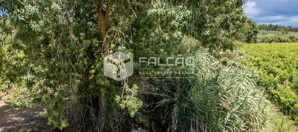 23488m² Land in Azambuja, Portugal No. 39531 24