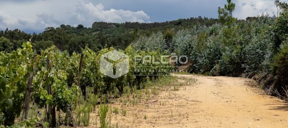 23488m² Land in Azambuja, Portugal No. 39531 37