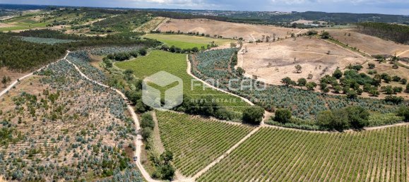 23488m² Land in Azambuja, Portugal No. 39531 7