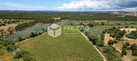 23488m² Land in Azambuja, Portugal No. 39531 10