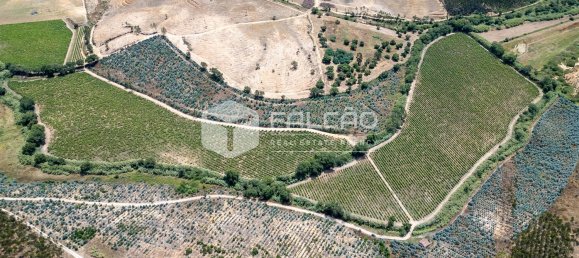 23488m² Land in Azambuja, Portugal No. 39531 4
