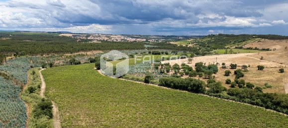23488m² Land in Azambuja, Portugal No. 39531 9