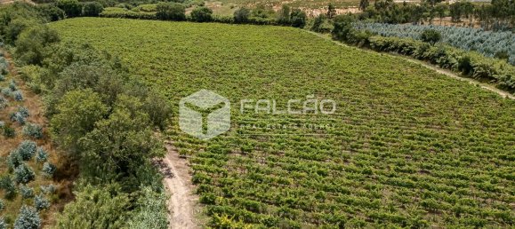 23488m² Land in Azambuja, Portugal No. 39531 25