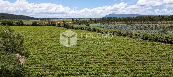 23488m² Land in Azambuja, Portugal No. 39531 19