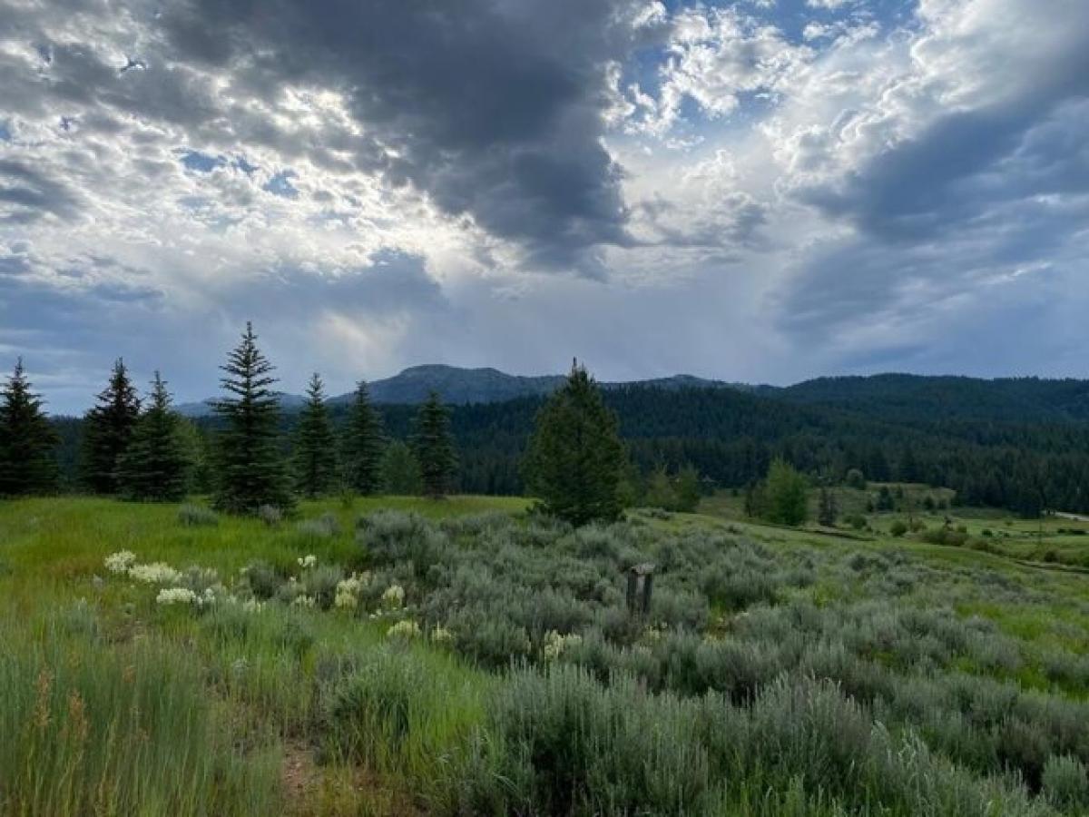  Land in McCall, USA No. 506268