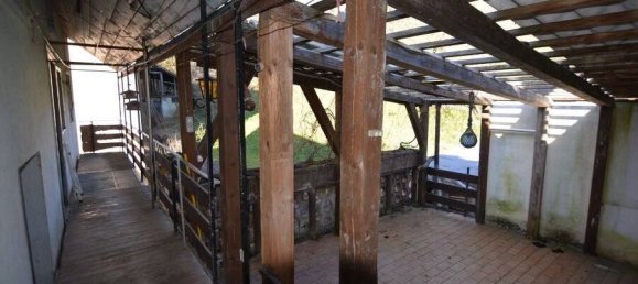 8 rooms House in Baden-Wurttemberg, Germany No. 18561 13