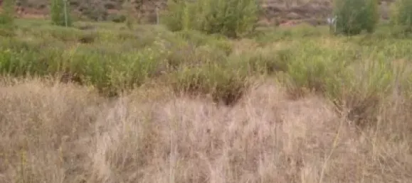 Terrain à Logrono, Spain 292m² No. 145681 4