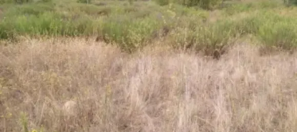 Terrain à Logrono, Spain 292m² No. 145681 3