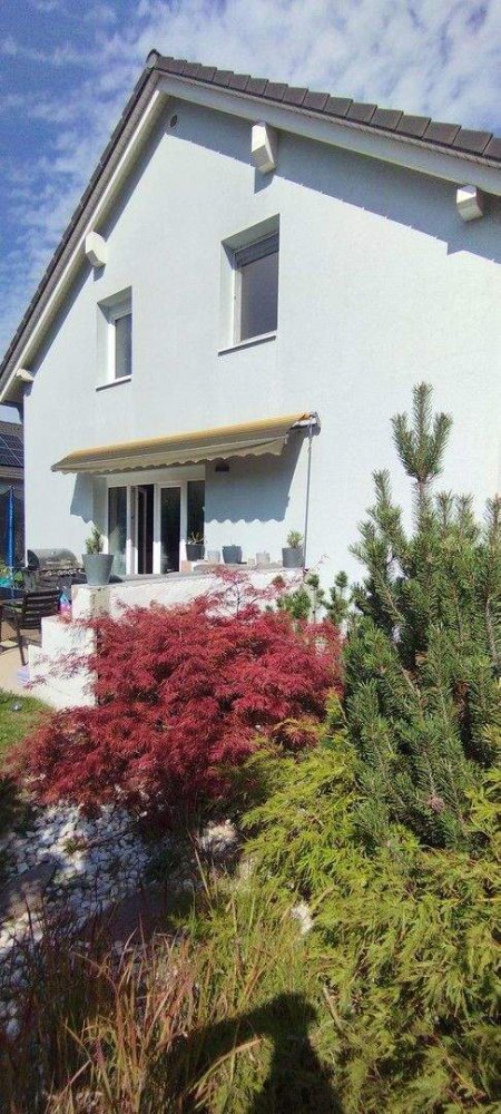 Adosado de 4 habitaciónes en Sieghartskirchen, Austria No. 262480