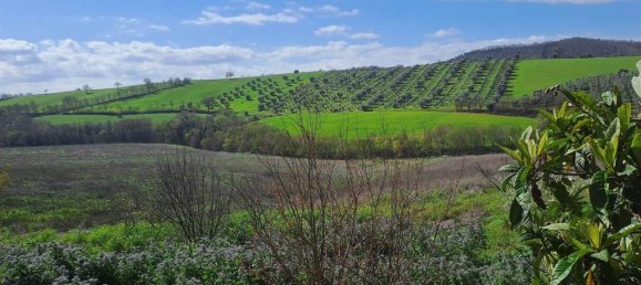 Дом с 7 комнатами в Скансано, Италия № 38150 6