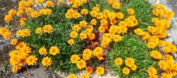 Дом с 4 спальнями в Вальдеботоа, Испания № 121754 19