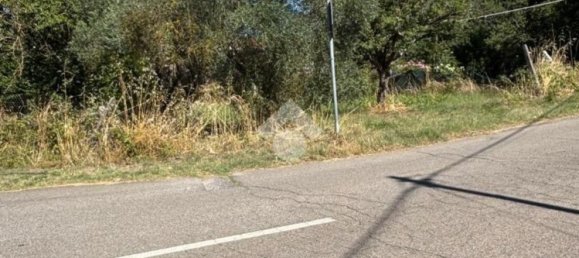  قطعة أرض في Bomarzo, Italy 1455متر مربع رقم 266530 10