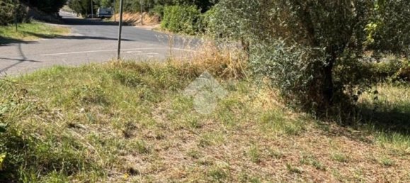  قطعة أرض في Bomarzo, Italy 1455متر مربع رقم 266530 3