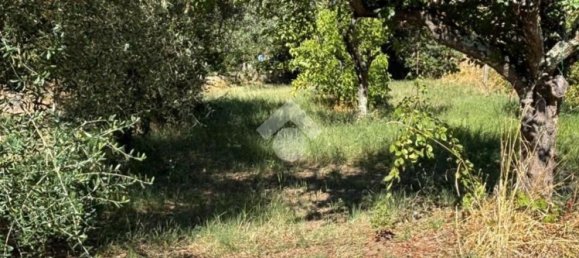  قطعة أرض في Bomarzo, Italy 1455متر مربع رقم 266530 9