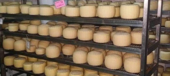 3غرفة منزل في Montalto Uffugo, Italy رقم 160277 13